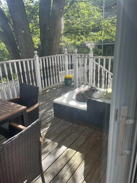 I caught someone cute napping on my daybed