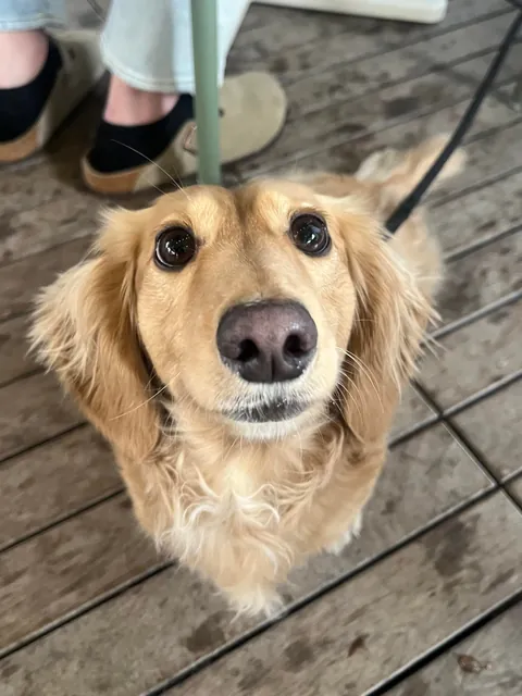 LOOK AT LUCA!! What an angel