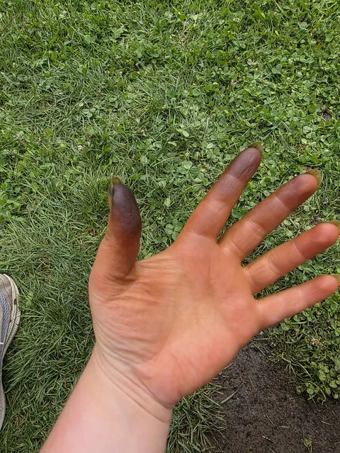 My hands are dyed forever.