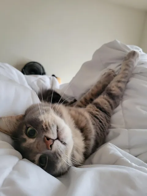 "You won't want to deal with it"