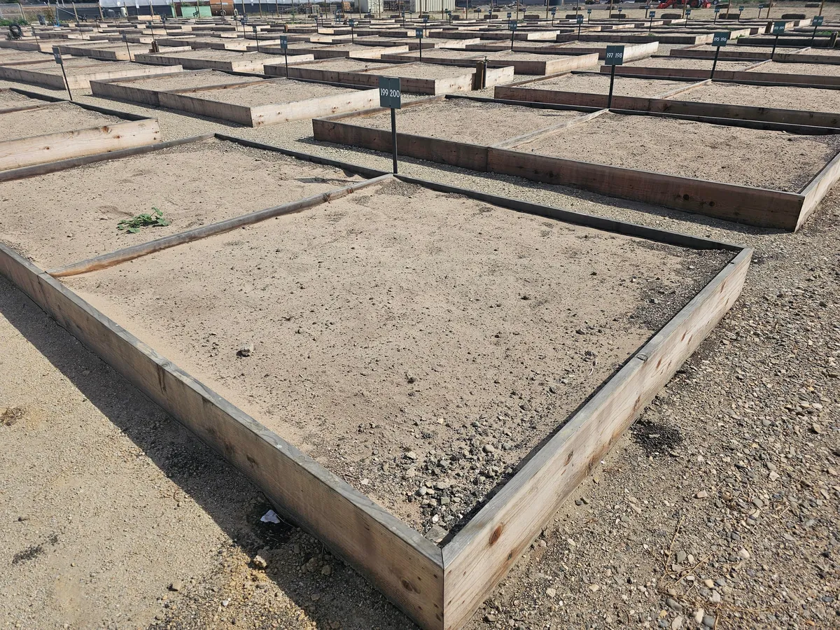 My community garden plot appears to be mostly sand. Any tips?