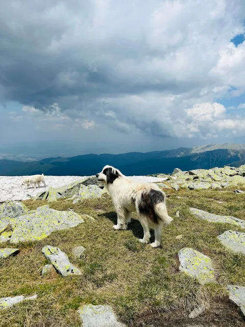 Romania, Retezat mountains