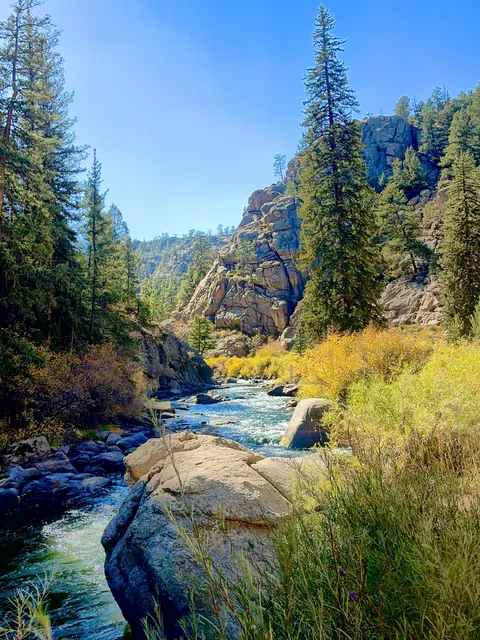 11 Mile Canyon in Colorado 2992x3988 [oc]