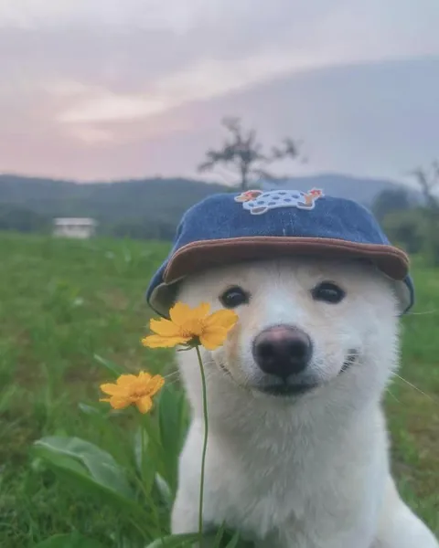This Picture Truly made my day ♥️
