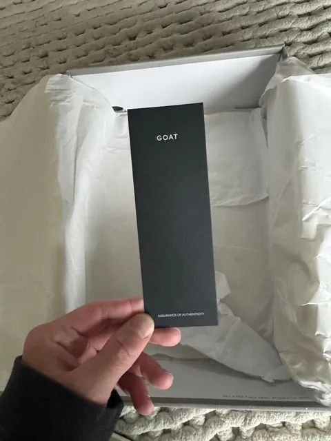 A Ma Maniere sent me Jordan 3s from GOAT on release day???