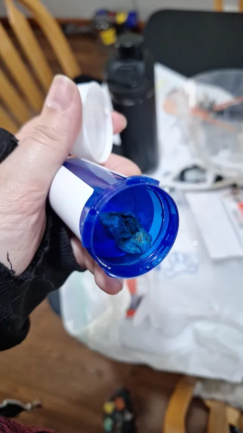 The most expensive cat I've ever had