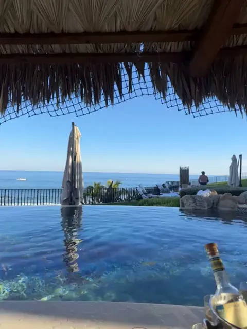 🔥 Paddle boarder gets the encounter of a life time from a pod of whales