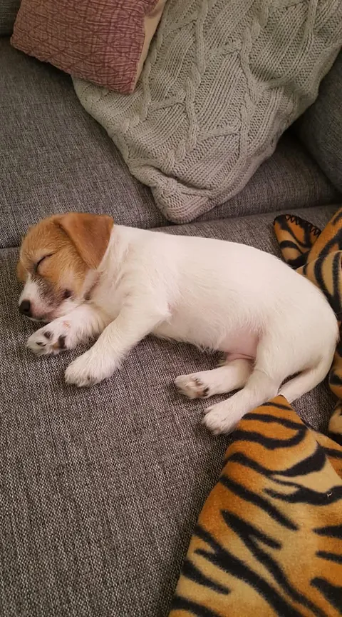 8 years since you changed our lives 🥰