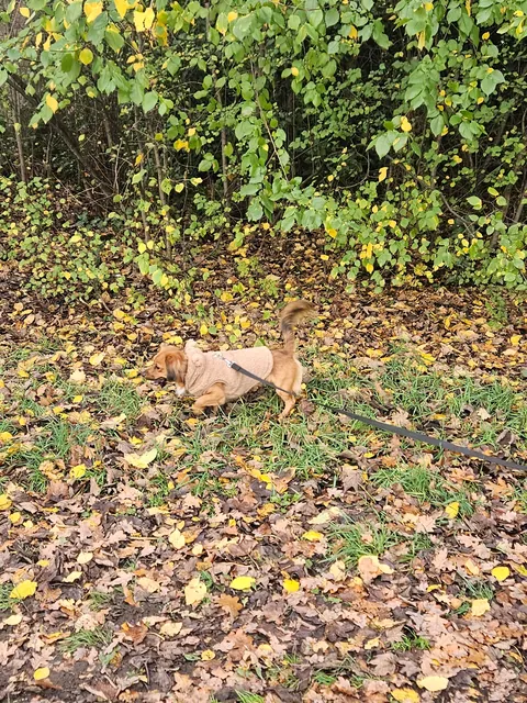 Kevin is contagious happiness in a small package