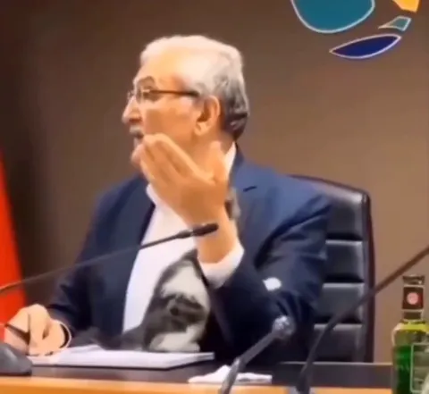 Turkish politician interrupted by an adorable kitten..🐈🐾😅