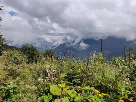 Nepal - On the way to the Annapurna Base Camp