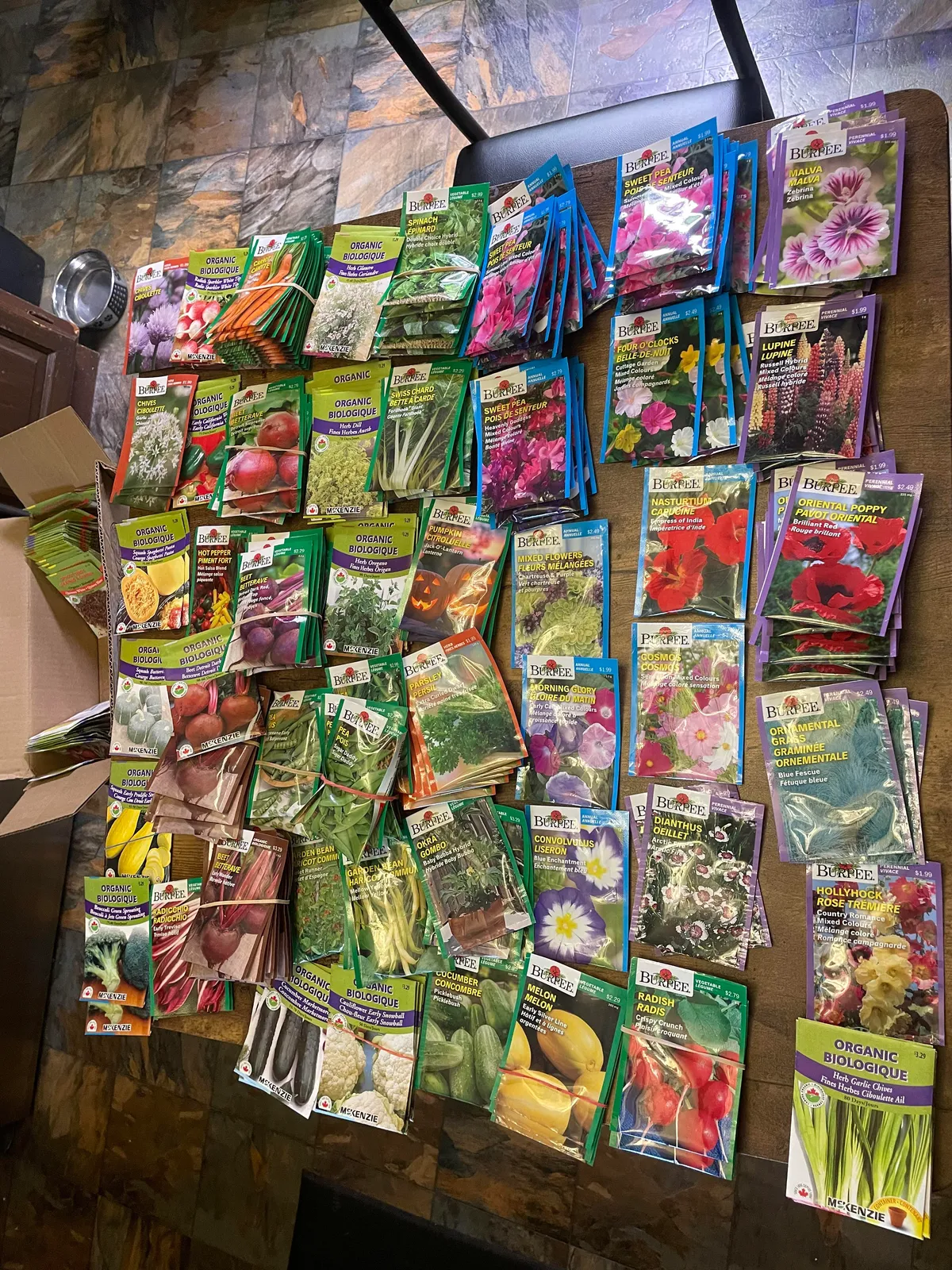 A greenhouse closed down and gave me their leftover seed stock for free 😱