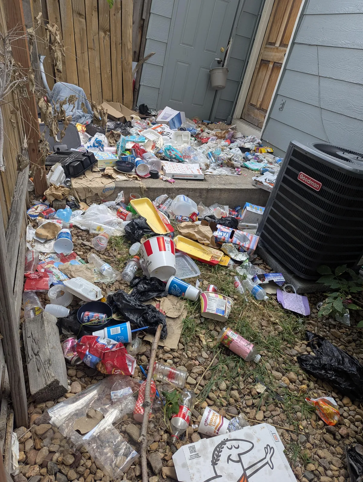 The current state of our neighbor's backyard
