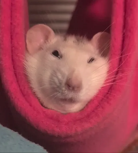 Eden and her many chins