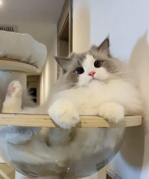 My discreet and unusual nap place