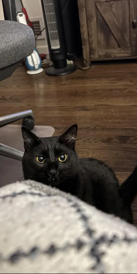 We just tried to trim her nails…