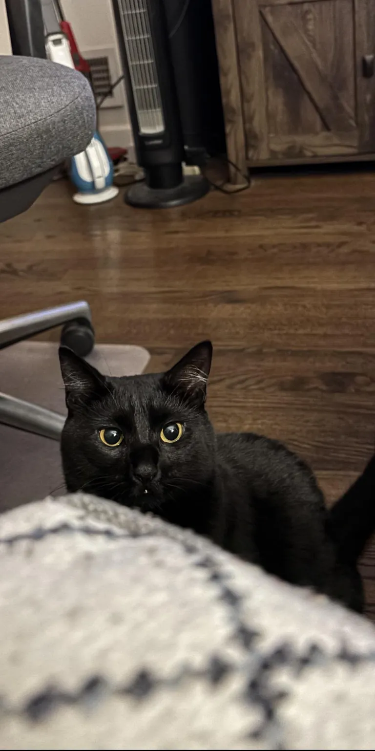 We just tried to trim her nails…