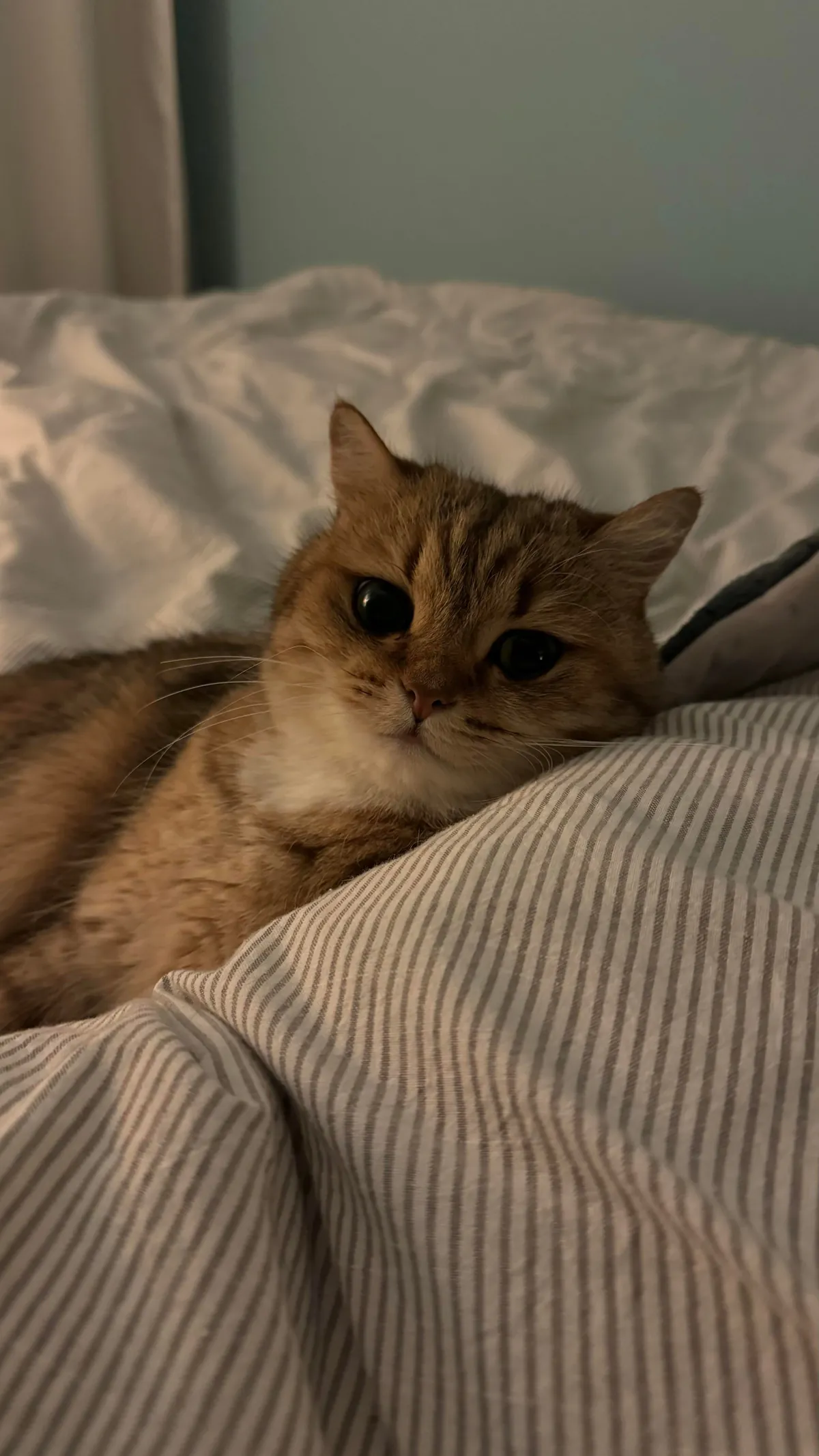 The only reason I still wake up every day