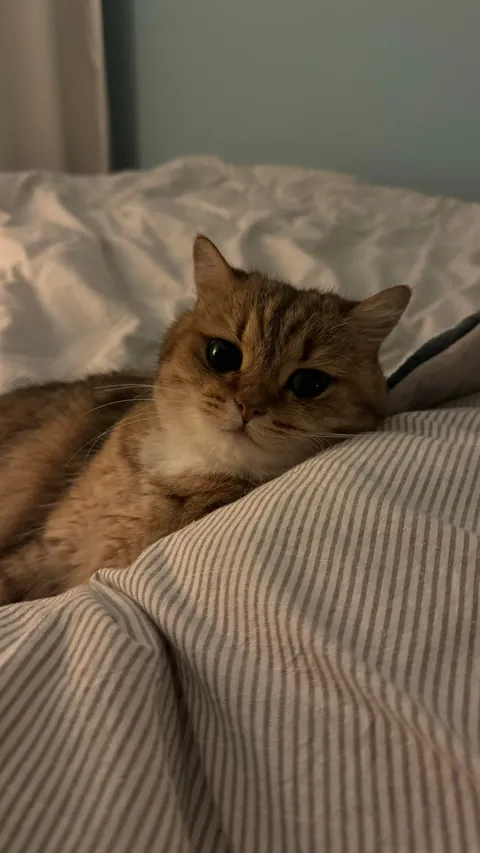 The only reason I still wake up every day