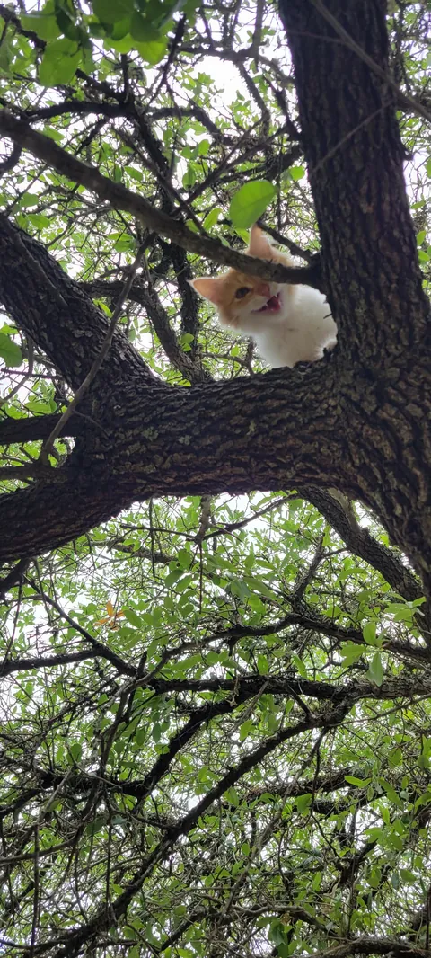 Woke up this morning and she was gone.