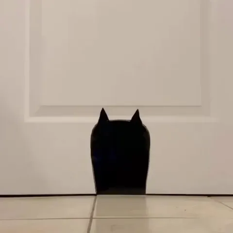Cat going through a cat-shaped door.