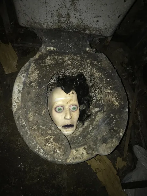 I’m a contractor. Bought an abandoned/foreclosed home to renovate. This was in the basement bathroom. What. The. Fuck.