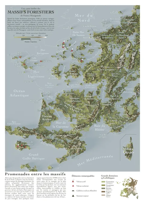 La France des Massifs Forestiers [OC]