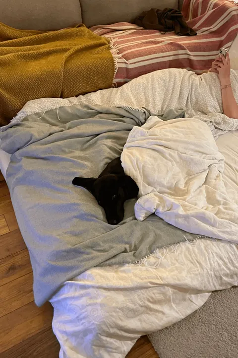 My sister hosted a sleepover with our dog