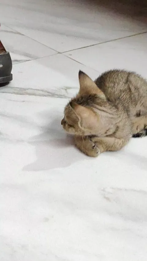 can't get enough of this cuteness 🥰❤️😍