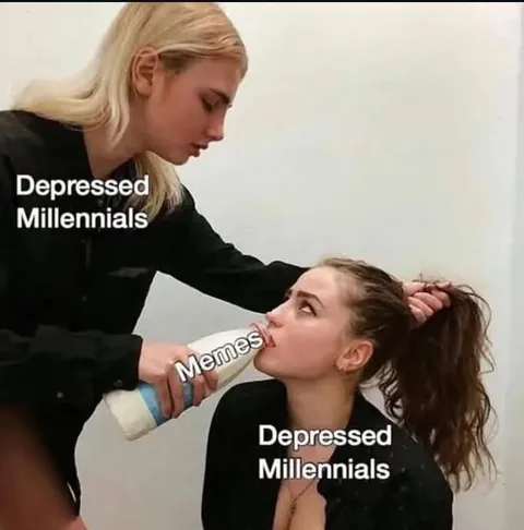 memes really carrying us through it