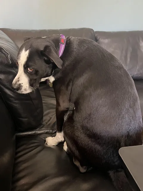 I’m not sharing my lunch with her :(