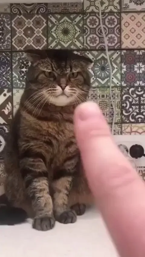 Don't you dare point fingers on me. 