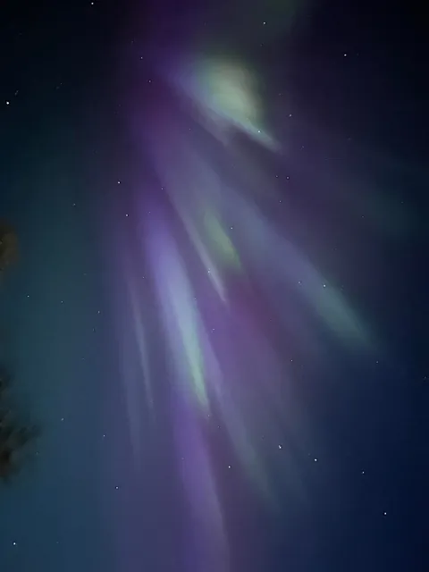 🔥 View of the northern lights from my house in Alaska last night! 🔥