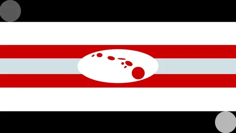 Flags for solar system objects