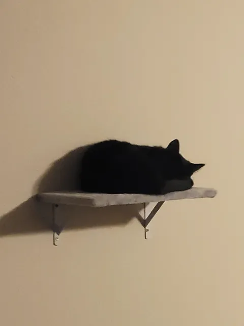 She looked so cute I just had to take a picture, but I accidentally woke her 😅