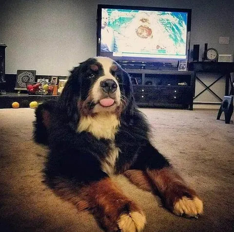 Enough of these hurricanes!