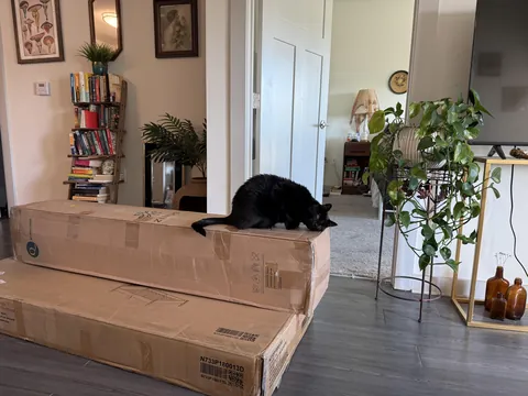 Furniture company sent him to put my bed frame together but I’m not sure he’s qualified