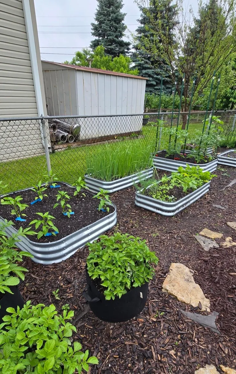 Transformed a small space behind my garage into my dream garden🌻2023 vs. 2024 