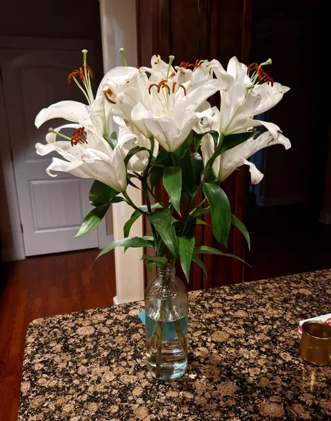 I'm a man in my 30s, silently going through a very difficult time in my life. Received a bouquet of lilies sent anonymously.