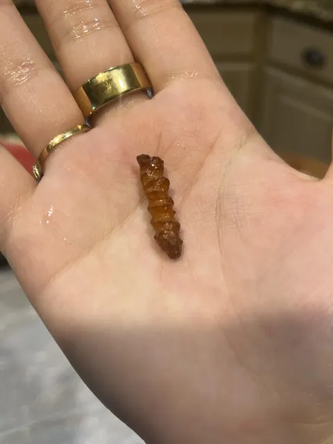 I thought I found a screw in my son’s bag of pretzels. It was just a screw shaped pretzel.