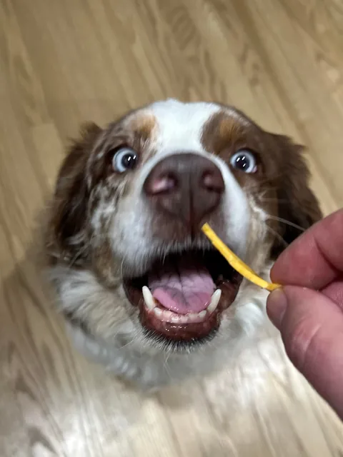 [homemade] prime rib, salami and cheddar