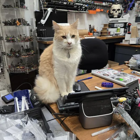 He does not understand the shopify POS
