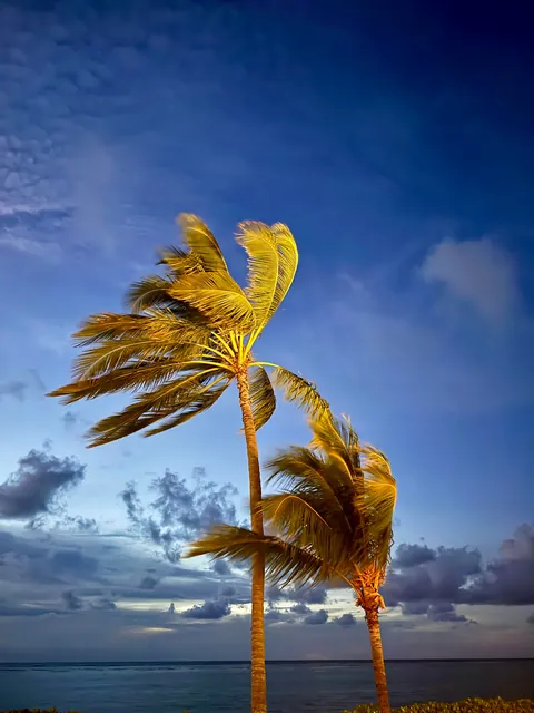 8 days vacation in Mauritius.