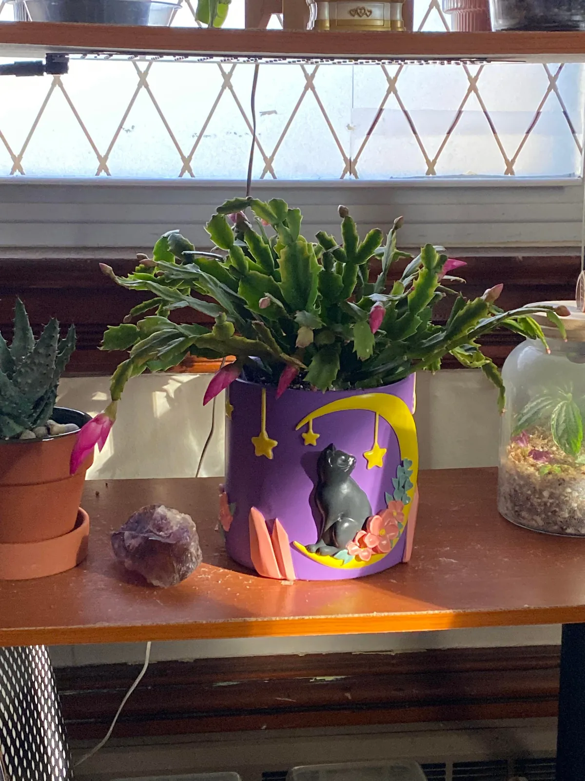 I’m sorry for the sad post. My girl is home.