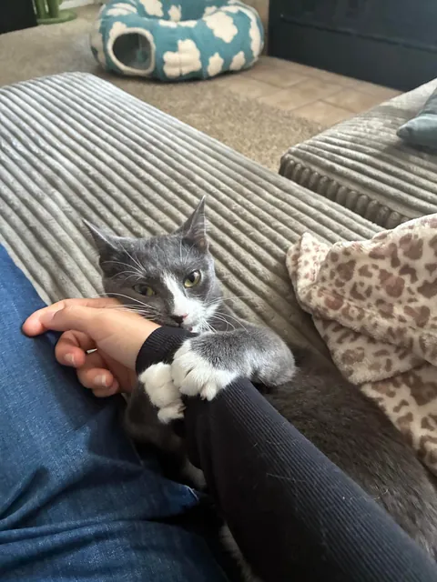 First tattoo - Austin TX