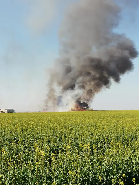 My house after i went to buy some fruits