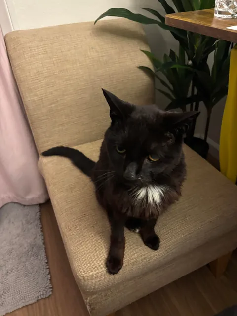 Love of my life beat cancer and turned 18 in Feb! Mr. Frank