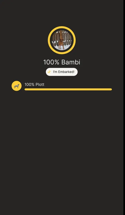 Has anyone else unknowingly adopted a purebred pup from the shelter? Here’s mine! 🧡