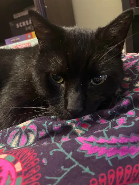 just wanted to share my 17 yr old boy today💜