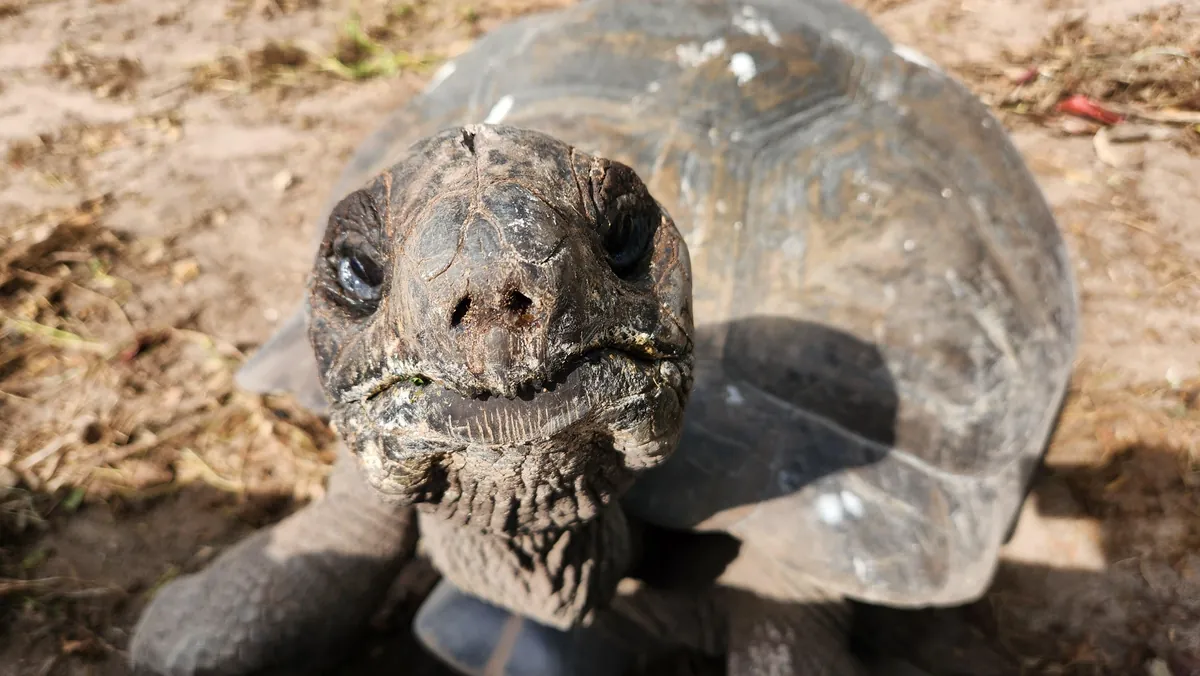 10 days in Seychelles